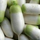 무 Daum카페