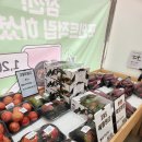 달다풍암점