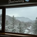 그린피아목욕탕 | 평창 용평리조트 3월 눈꽃여행 드래곤밸리 호텔 슈페리어룸 후기
