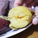 미라농원 이미지