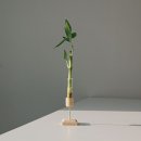 플로팅