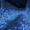 와인동굴 이미지