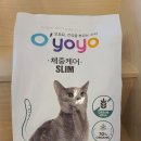 오요요 | 고양이 사료 추천 오요요 사료 내돈내산 후기