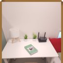 스테이42 이미지