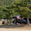 600동화장실 이미지