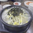 콩심 발산점 티스토리