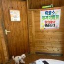 팔공산식당 | 대구애견동반식당 추천｜팔공산 산속비봉식당 방갈로 삼겹살 후기