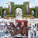 현악국 | 충남 가을 여행지 추천 예산시장 국화축제 예산삼국축제 홍성글로벌바베큐페스티벌