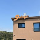 가야펜션 | 🏨태안 애견 동반 펜션 나인독스 후기/추천 무조건 가야행🐕