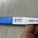 양수과소증 중기유산 후 임신, 두 배로 찾아온 선물, 자연임신 쌍둥이 8주