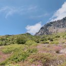 돈내코 평궤 화장실 이미지