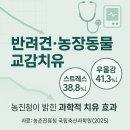 국립축산과학원 동물병원 | 🐶 반려견·농장동물 교감치유, 스트레스 38.8%↓ 우울감 41.3%↓… 농진청이 밝힌 과학적 치유 효과