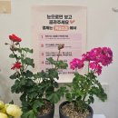 퀸부띠끄 이미지