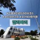 소나무 전경 | 강릉 여행 코스 사천해변 오션뷰 대형 루프탑 카페 깔라마리 l 소나무숲보며 땅콩라떼 데이트