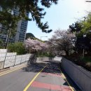 청사포로 이미지