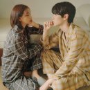 올드 트리 쇼핑하우