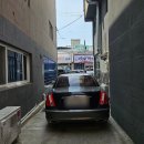 캣존 이미지