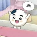 (주)마코비즈 | [치이카와 직구]치이카와 마켓 짐패스 배대지로 직구 후기