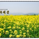 한강시민공원 쉼터 이미지