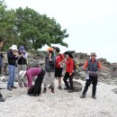 봄·여름·가을 코스 이미지