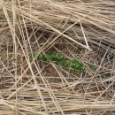 우경약국 이미지