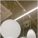 소호 숲 | 숲속에서 일하는 기분! 분당 소호사무실 드림캐쳐스 미금역점