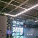 금빛 보이스캐디 골프아카데미 이미지