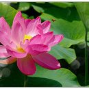 베데스다요양원 이미지