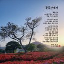꽃동산 Daum카페