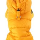 엔젤퍼피 이미지