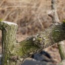 노지하우스 이미지