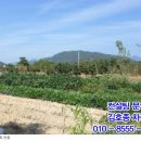 양평-양서-양서-03 이미지