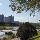 태화목장 이미지