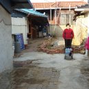 금빛할인마트 이미지