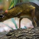 토닥토닥 이미지