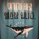 민트고래짐 이미지