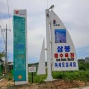 안면도 네잎클로버 수영장 이미지