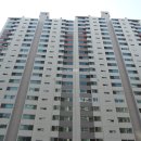 성원아파트 앞 이미지