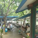 캐빈하우스민박 | [순천/광양/여수] 계곡산장추천!!. 광양 [옥룡계곡] 캐빈하우스 솔직후기