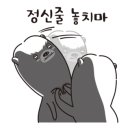 다봄이비인후과의원 네이버블로그
