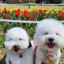 옐레드 하남미사점 이미지