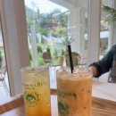 몬스마리 | 수지 대형카페 몬스마리 방문후기 (주차, 층별안내, 메뉴 등)