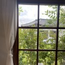 이화2호 | 경주 1박 2일: 가족 여행 먹방 기록 (포석로 소갈비찜 2호점, 십원빵, 깁모어막걸리, 서생이화)