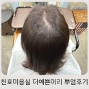 더뿌리 | 자연스러운 컬러 대만족, 천호미용실 더예쁜머리 디자이너송이 뿌리염색 후기