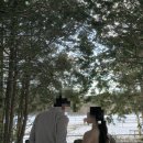 대흘보건진료소 | [웨딩준비]#8. 사계절 셀프 스냅 중 겨울 스냅 “숨은 제주 눈 사진 스팟 샤이니 숲길”