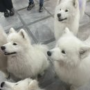 겨울이 머무는 집 이미지