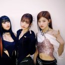 엑스키 이미지