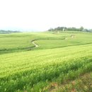 동막골 한우 농장 이미지