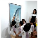 단비어린이집 이미지