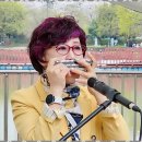 하모니카와 음악여행 이미지